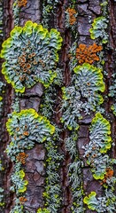 Symbiotic tapestry on bark, colorful lichen patterns and nature's vibrancy