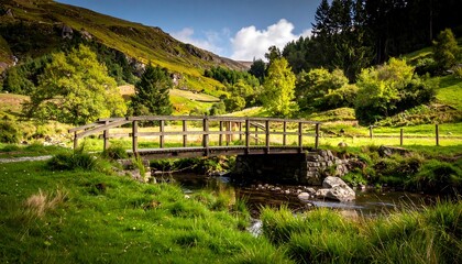 Rustic wooden bridge over a stream in a valley