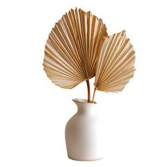 Dried palm leaf in white vase isolated on transparent background