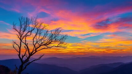 Bare tree silhouette against vibrant twilight sky over mountain layers.
