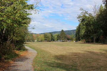 A breeze blowing leaves on trees in an empty park