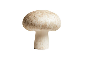 A standing white mushroom