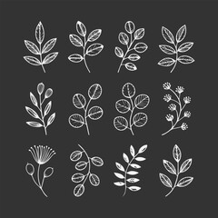 Floral Icon New Design Black And White
