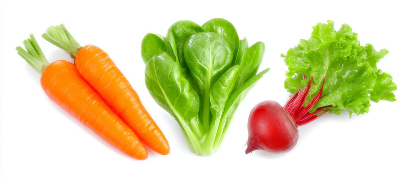 Fresh carrot, spinach, beetroot, and lettuce arranged on white background, showcasing vibrant colors and healthy, organic vegetables for nutritious diet