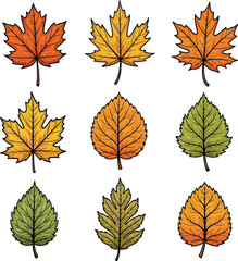 Naklejka premium collection of autumn leaves