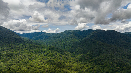 Obraz premium Mountains with rainforest and jungle. Borneo, Malaysia.