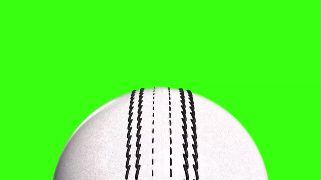 white cricket leather ball on green background