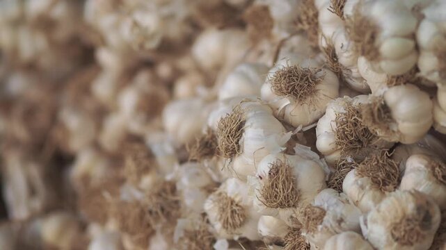 Discovering fresh garlic at the local market