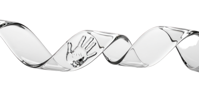 Human hand print embedded within a transparent glass DNA helix spiral.