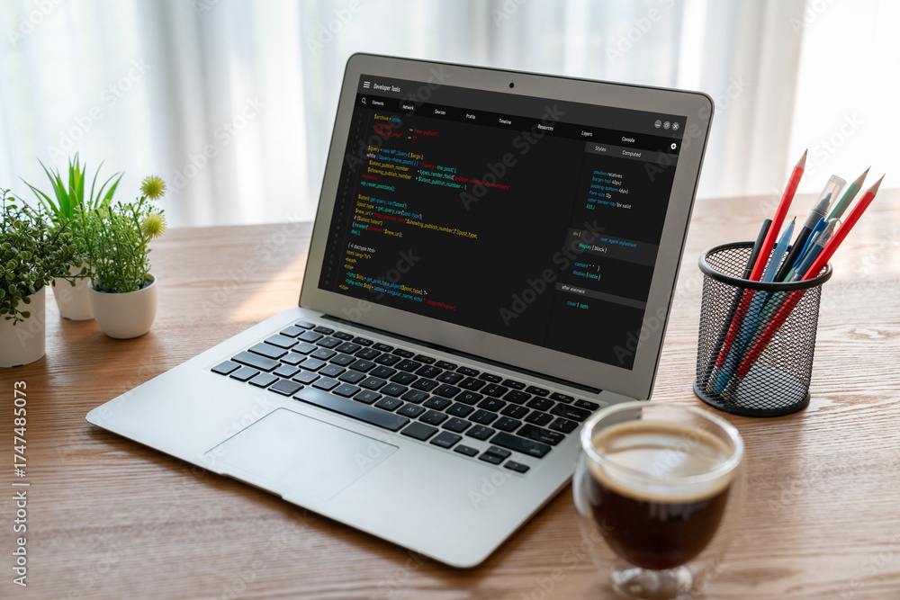 Wall mural software development programming on computer screen for modish application and program coding