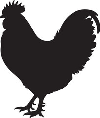 Cute Rooster Isolated on White  Farm Animal Illustration