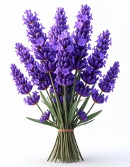 Obraz premium Radiant Purple Lavender Bouquet on White Background in Studio Lighting