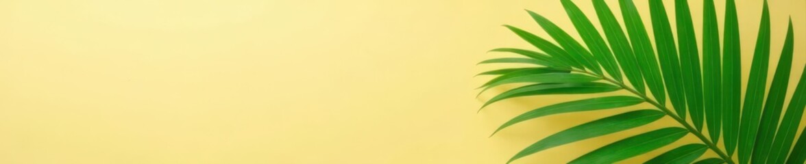 Obraz premium Single vibrant green palm leaf on beige background, summer, background texture