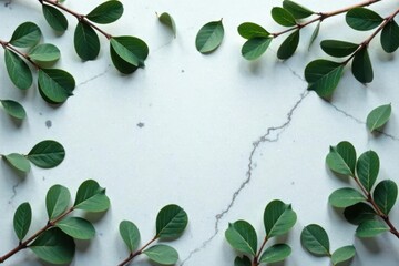 Eucalyptus leaves scattered on grey marble, framed by branches Top view , top view, wellness, flat lay
