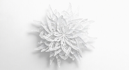 A delicate white floral arrangement with intricate lace like details on a bright white background studio shot