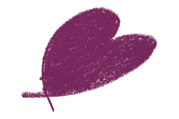 Valentine's Day purple chalk crayon heart illustration isolated on transparent background