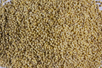 Close up of millet rice.