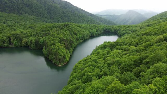 Biogradska Gora National Park, glacial lake Biograd and forest habitat, drone
