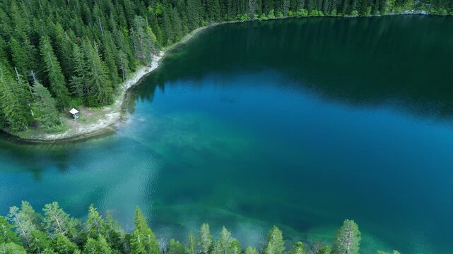 Aerial of Black Lake, a glacial lake, Durmitor National Park surrounded by dense coniferous forests
