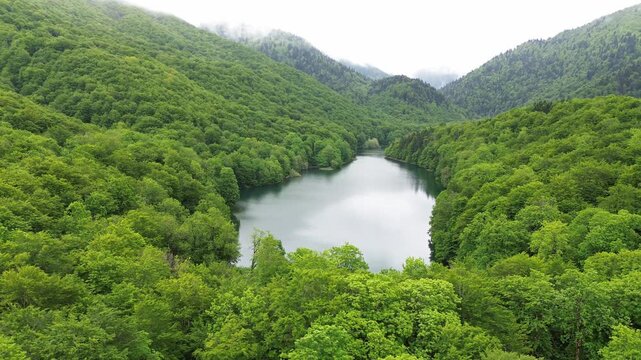 Biogradska Gora national park dense forest and Lake Biograd in summer, Aerial