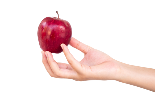 hand holding red apple isolated on transparent background - Powered by Adobe