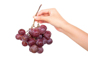 hand holding bunch of grapes isolated on white background