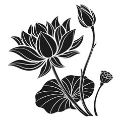 Elegant black and white lotus flower illustration