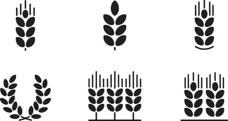Wheat Ears Collection Silhouette Agriculture Harvest Symbol Grain Farm