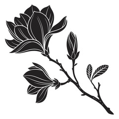 Elegant black and white magnolia branch illustration
