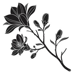 Elegant black and white magnolia branch with blossoms