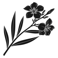 Black and white illustration of oleander flowers and leaves