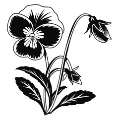 Stylized black and white pansy flower illustration