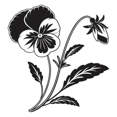 Stylized black and white pansy flower illustration