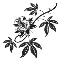 Striking black and white illustration of a passion flower and leaves