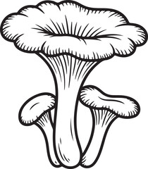 Chanterelle Mushrooms Line Art Edible Fungi Foraging Delicacy