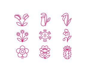 Modern minimalistic botanical collection of vibrant pink line art flora