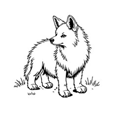 Detailed linear portrait of a domestic canine, depicting its furry outline, gazing with