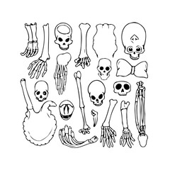 Eerie Halloween Sketches featuring Anatomical Bone Illustrations in Black and White ink design for