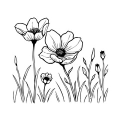 Elegant botanical illustration featuring wildflowers with detailed petals and foliage evoking