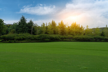 A beautiful green lawn under the shining sun with trees in the background © zhouyilu