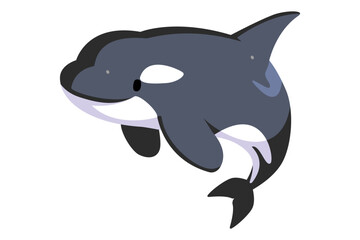 Fototapeta premium シャチ