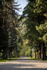 Almaty, Kazakhstan, and the beautiful autumn season