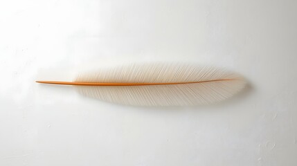 Close up of a delicate white feather with a subtle golden quill on a clean minimalist background, symbolizing purity, softness, balance, and natural elegance in modern artistic composition