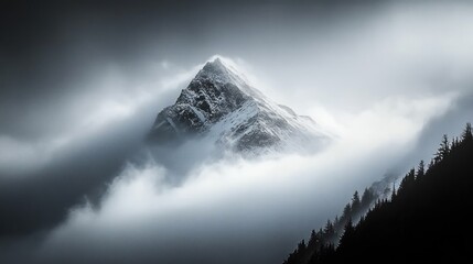 Snow covered mountain peak emerging through thick mist and clouds above dark forested slopes under a moody sky