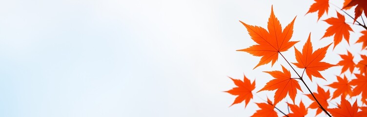 Obraz premium Bright red autumn maple leaves on branch against soft white and blue background with empty space for copy or seasonal advertising template. Ai generative