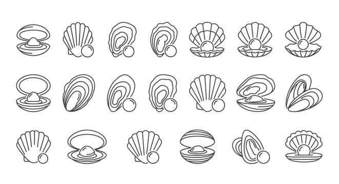 A collection of line art illustrations depicting various open and closed seashells, some revealing a pearl inside, in a flat, graphic style.