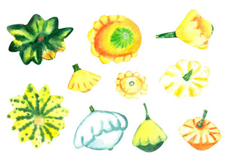 Watercolor illustration of vegetables, colorful squash, on an isolated white background. Hand-drawn watercolor set.