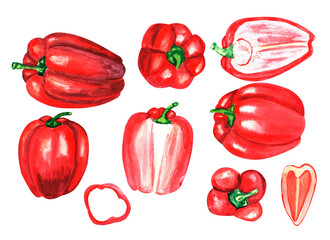 Watercolor vegetables on a white background. Hand-drawn fresh red peppers.