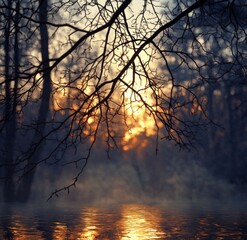 Fototapeta premium Bare tree branches over misty water reflecting a golden sunset in a quiet forest