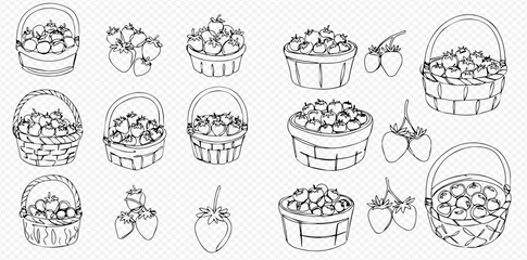 Collection of hand-drawn line art illustrations featuring fresh strawberries in various baskets and as individual berries.